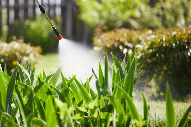 24/7 Emergency Mosquito Control experts in Notre Dame, IN